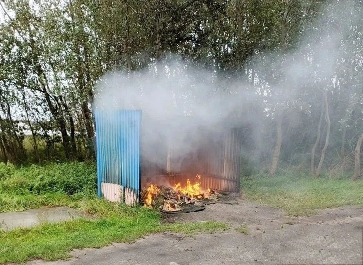 В Балтийске завелся мусорный поджигатель